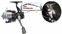 Opsrey spinning reels with Led light on the rotor. Led light available in green/blue/red and clear/